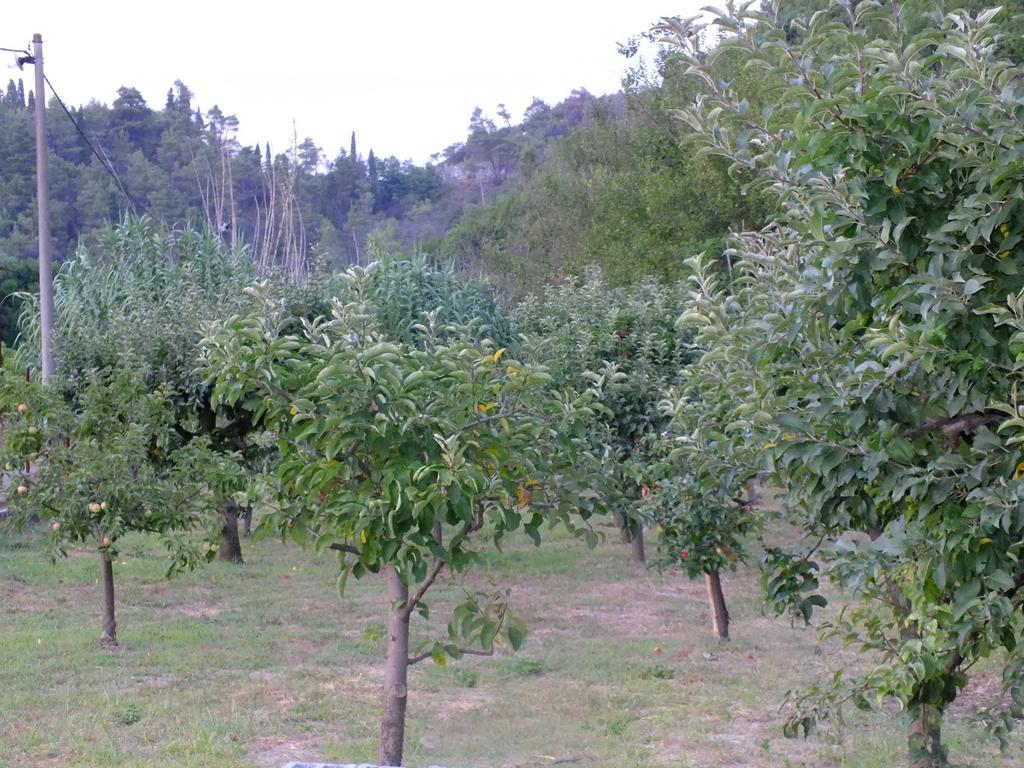 Holiday Home Ivana Virpazar Δωμάτιο φωτογραφία