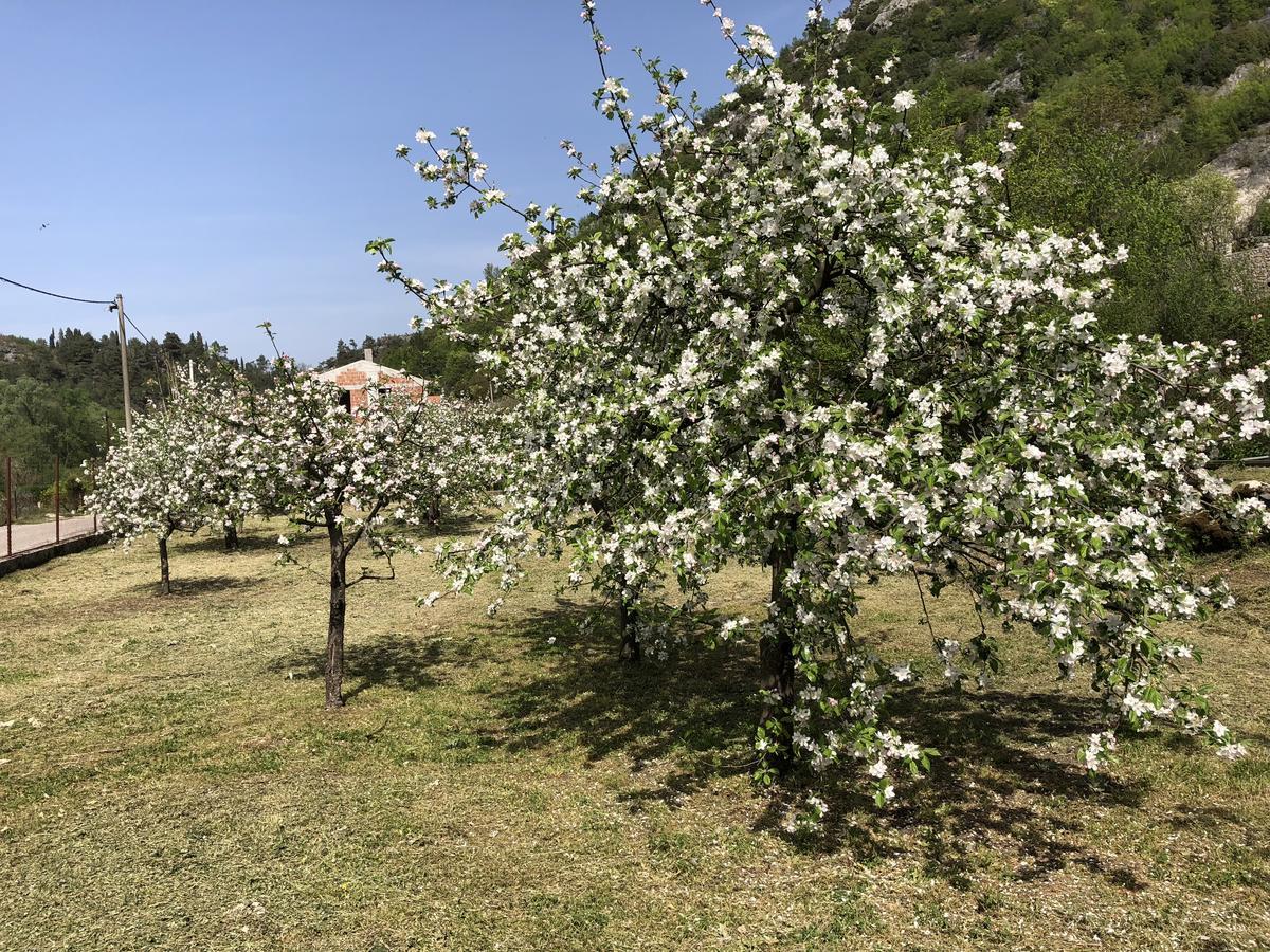 Holiday Home Ivana Virpazar Εξωτερικό φωτογραφία