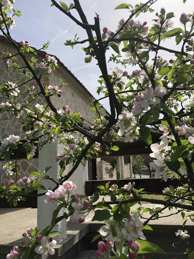 Holiday Home Ivana Virpazar Εξωτερικό φωτογραφία